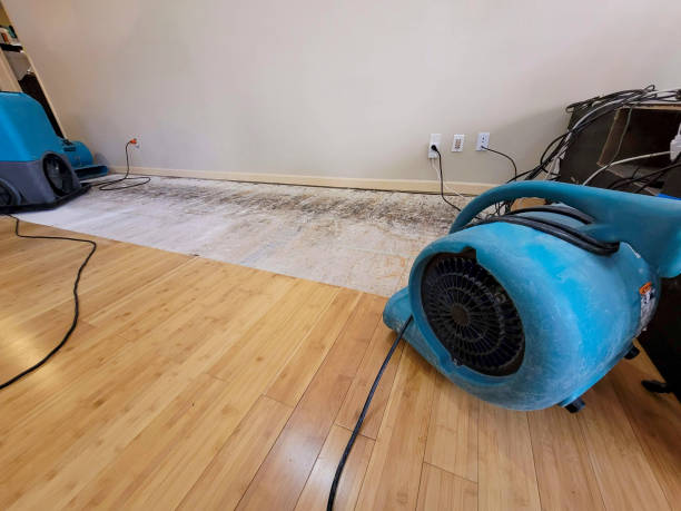 Professional Water Removal technician working in Gypsum, OH